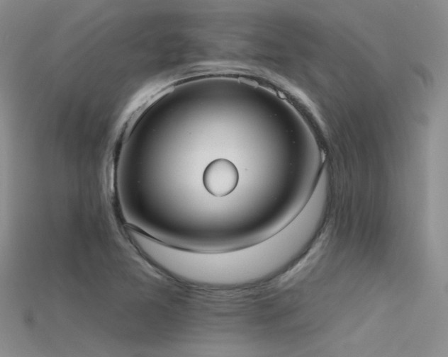 X0000115671365200911121144