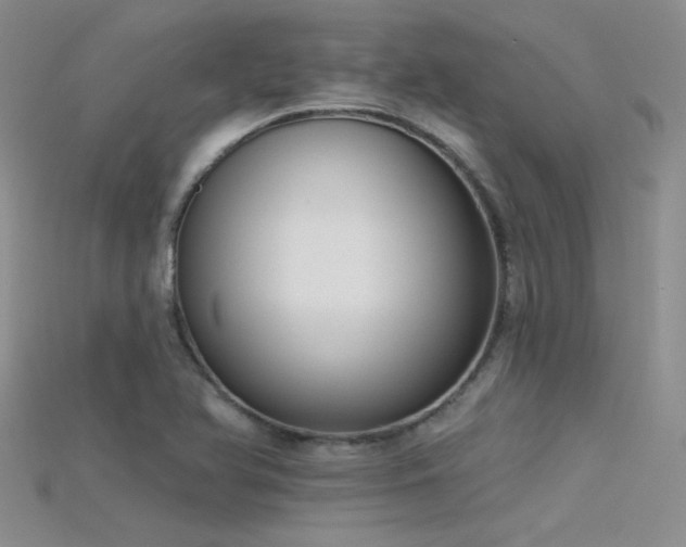 X0000115671366200911121144