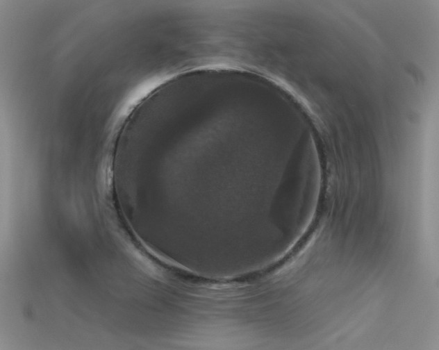 X0000115671367200911121144