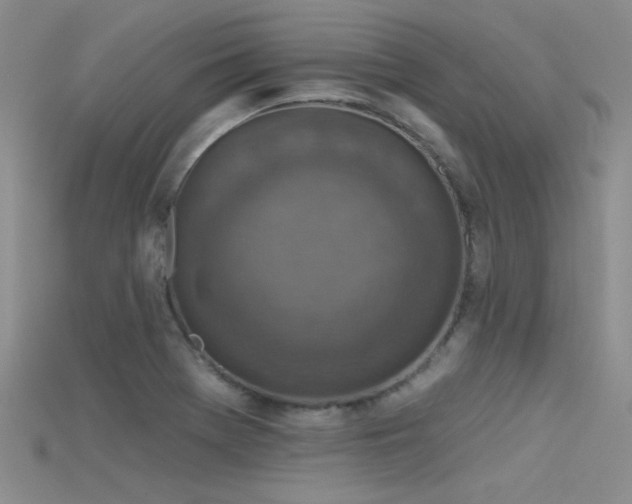X0000115671369200911121144