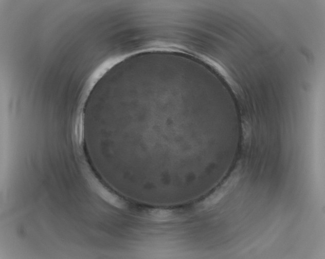 X0000115671371200911121144