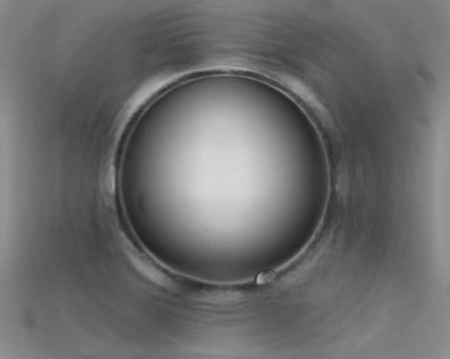 X0000115671372200911121144