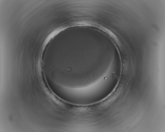 X0000115671373200911121144