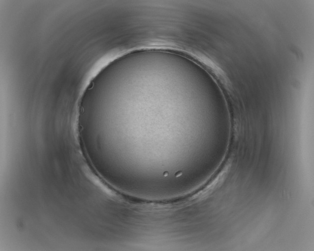 X0000115671374200911121144