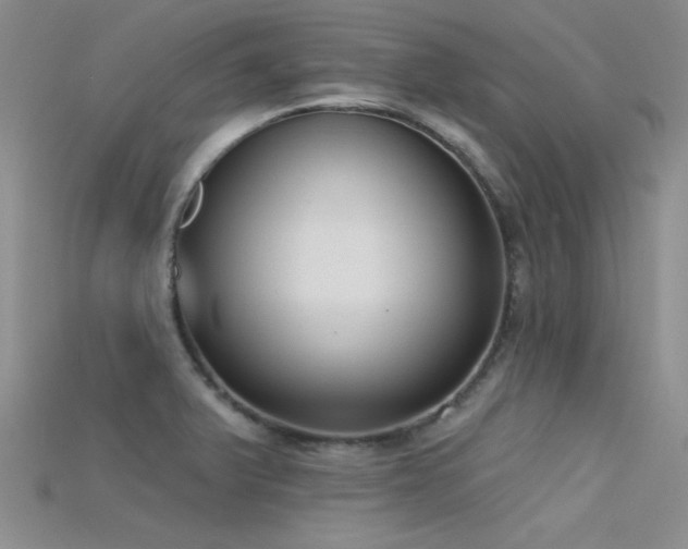 X0000115671375200911121144