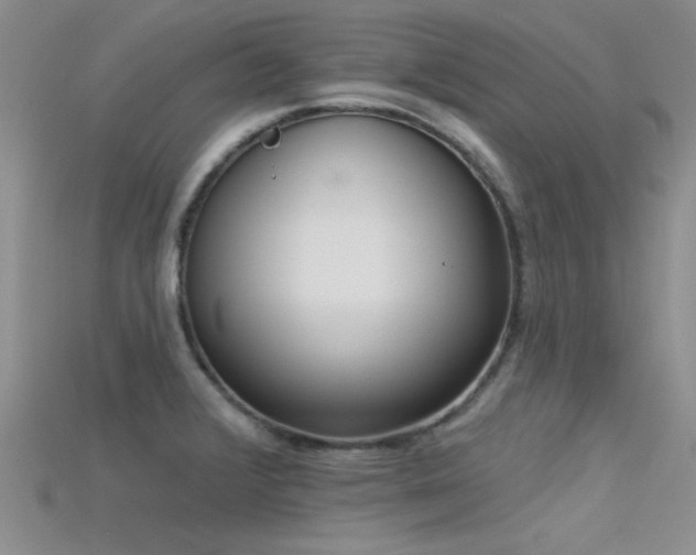 X0000115671376200911121144