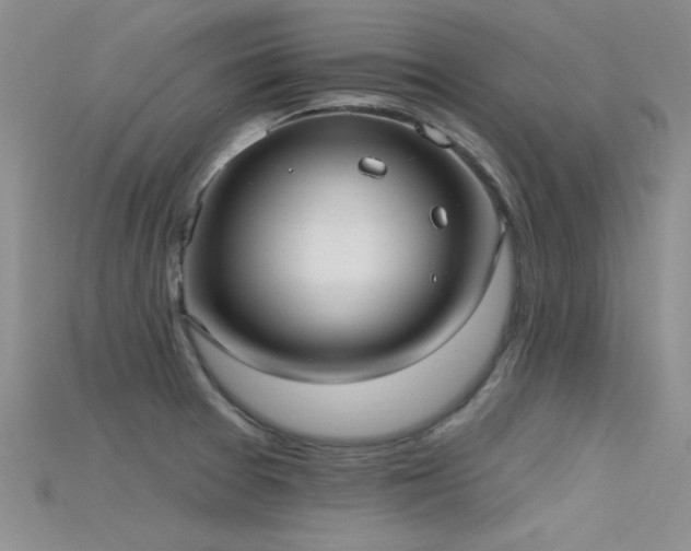 X0000115671377200911121144