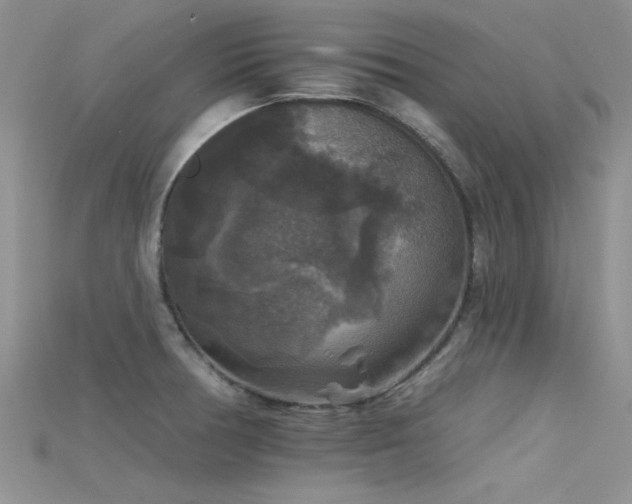 X0000115671378200911121144