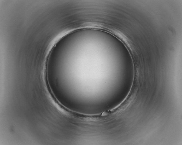 X0000115671379200911121144