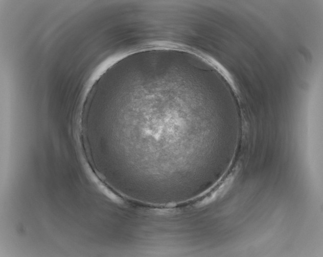 X0000115671381200911121144