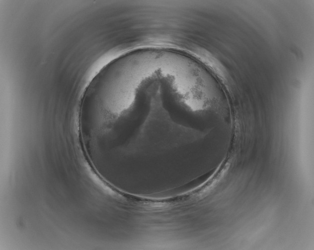 X0000115671382200911121144