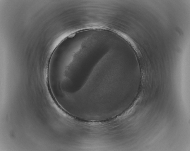 X0000115671383200911121144