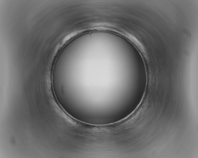 X0000115671384200911121144