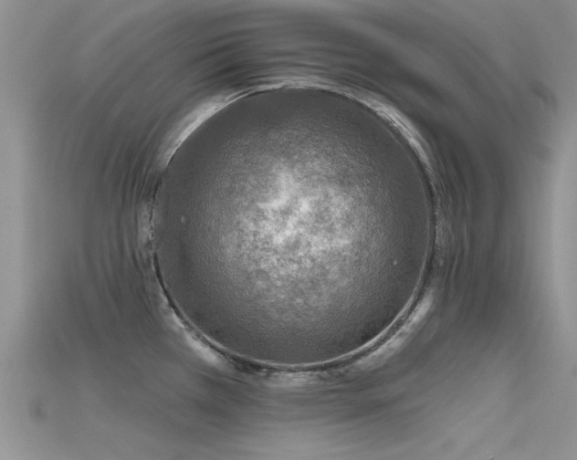 X0000115671385200911121144