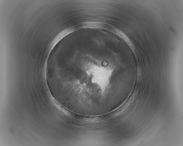 X0000115671386200911121144
