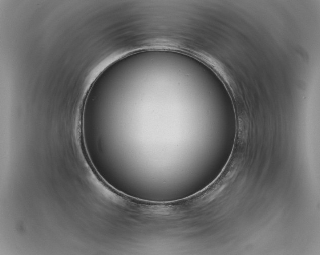 X0000115671387200911121144