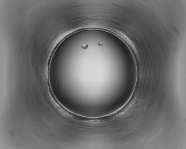 X0000115671388200911121144