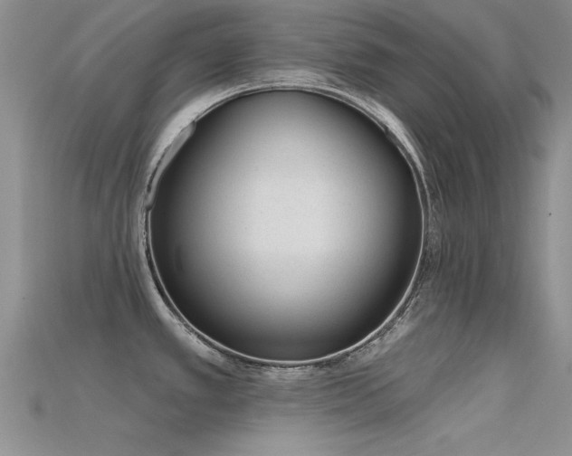 X0000115671389200911121144