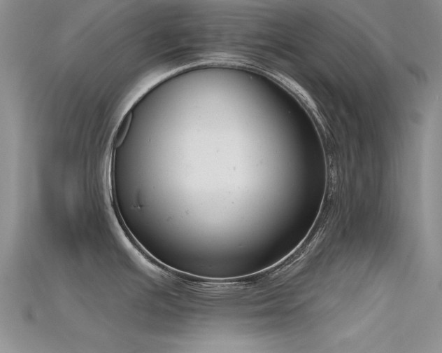 X0000115671391200911121144