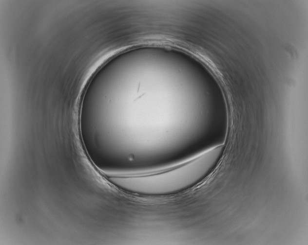 X0000115671392200911121144