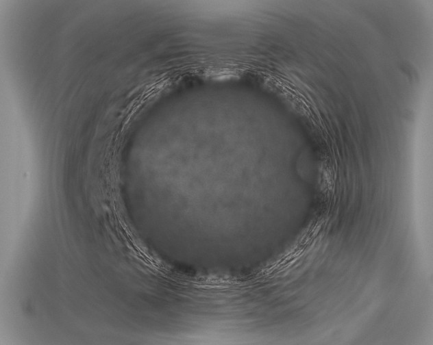 X0000115671393200911121143