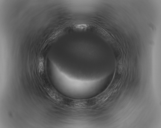 X0000115671394200911121143
