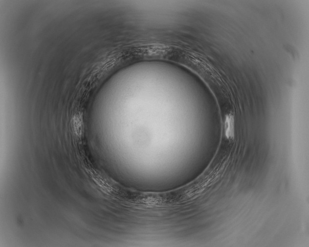 X0000115671395200911121143