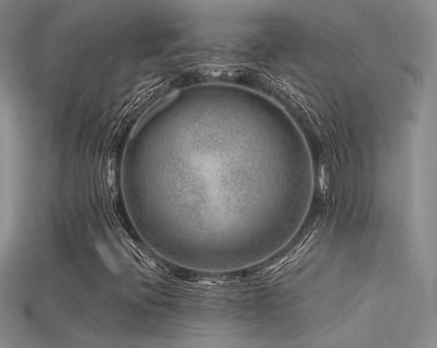 X0000115671396200911121143