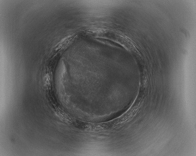 X0000115671397200911121143