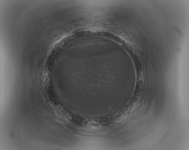 X0000115671398200911121143
