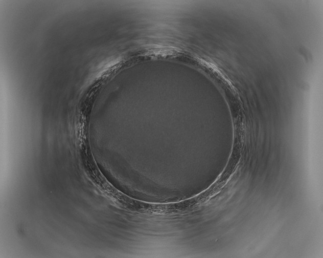 X0000115671399200911121143