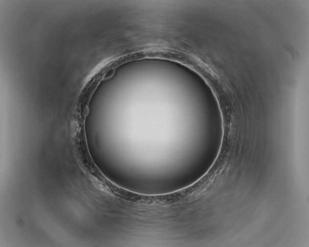 X0000115671400200911121143