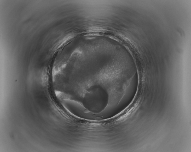 X0000115671401200911121143