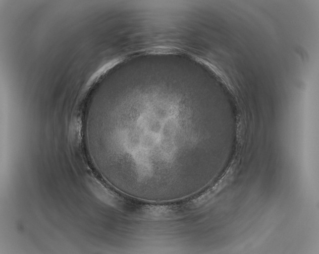 X0000115671402200911121143