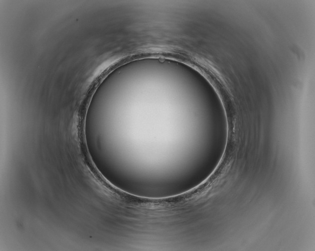 X0000115671404200911121143