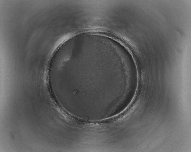 X0000115671405200911121143