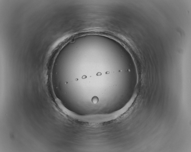 X0000115671406200911121143