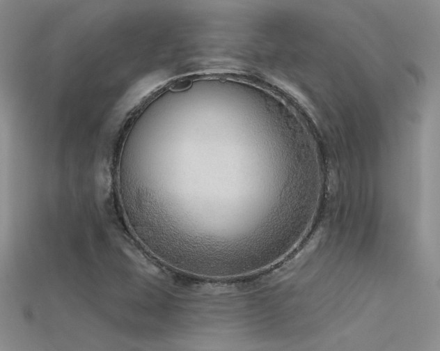 X0000115671407200911121143
