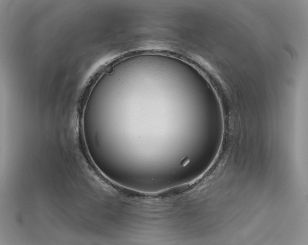 X0000115671408200911121143