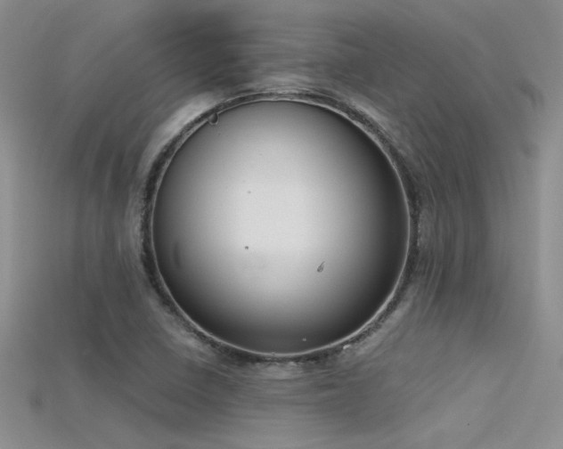 X0000115671410200911121143