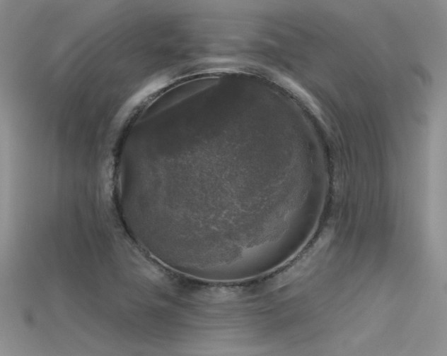 X0000115671411200911121143