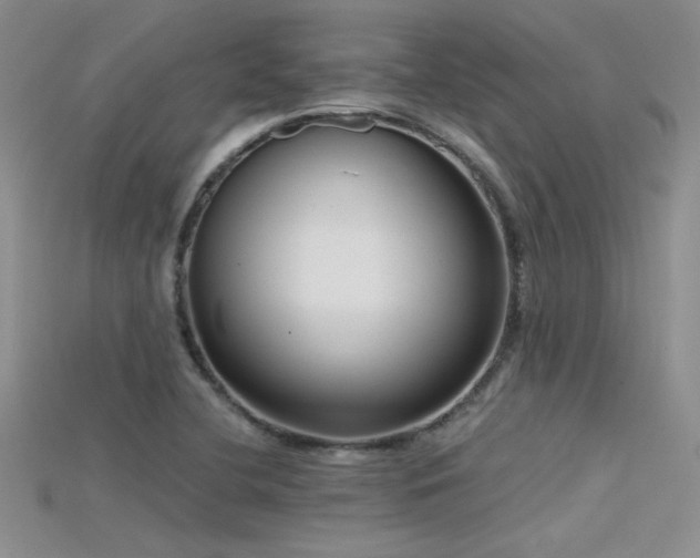 X0000115671412200911121143