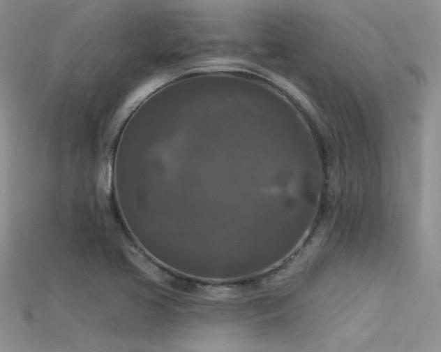 X0000115671413200911121143
