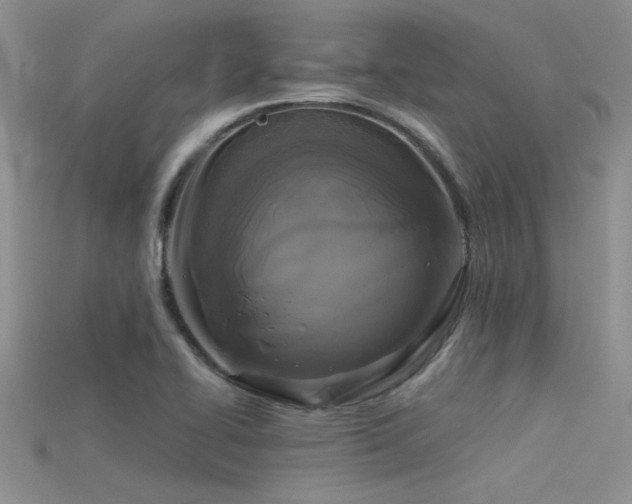 X0000115671414200911121143