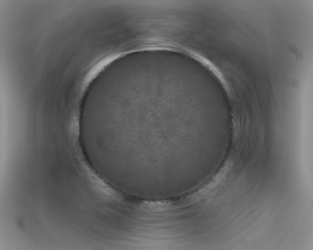 X0000115671415200911121143