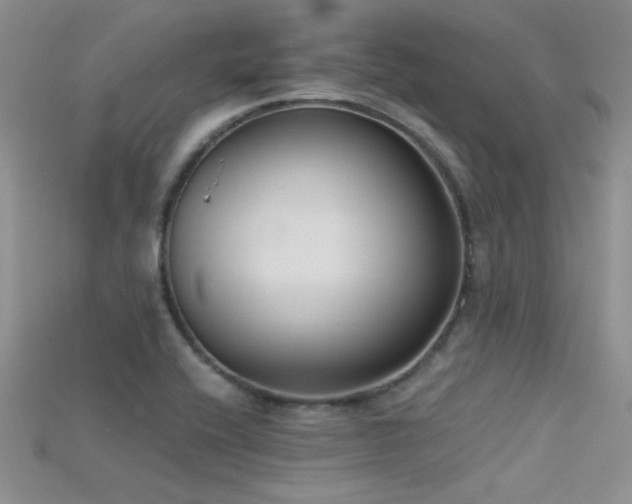 X0000115671416200911121143