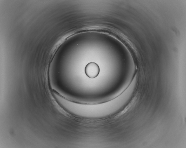 X0000115671417200911121143