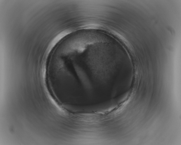 X0000115671418200911121143