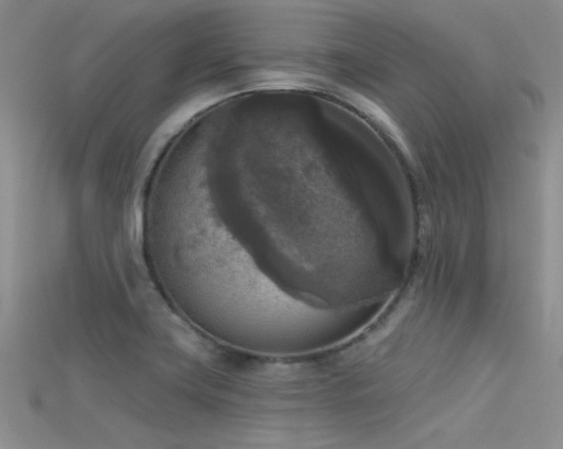 X0000115671419200911121143