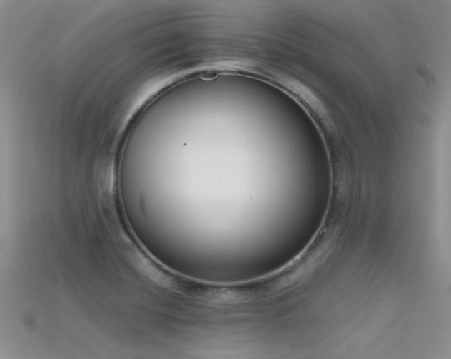X0000115671420200911121143